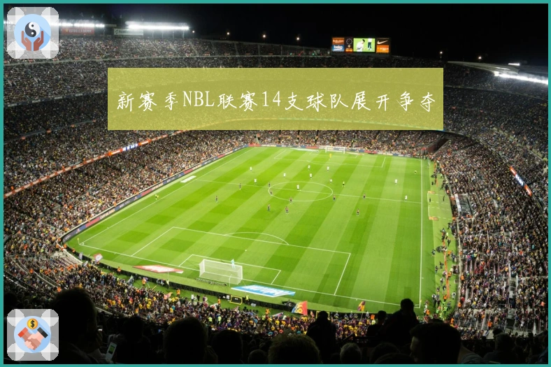 新赛季NBL联赛14支球队展开争夺