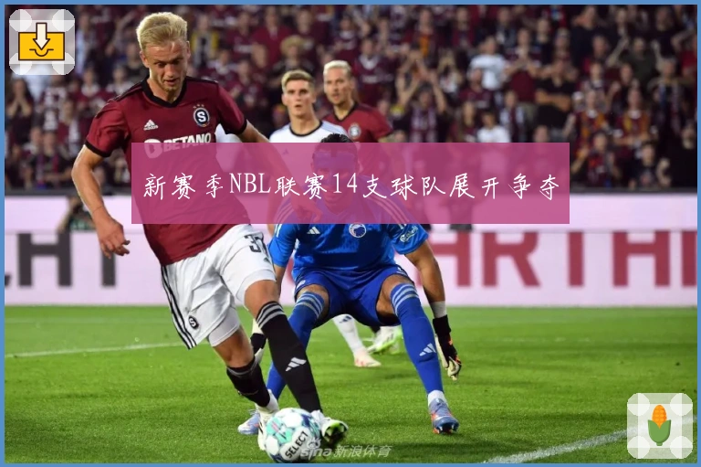 新赛季NBL联赛14支球队展开争夺